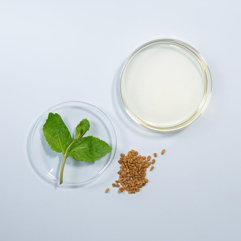 Fortifying Care Oil