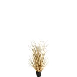 Gras Boho getopft, H73cm, tørt look