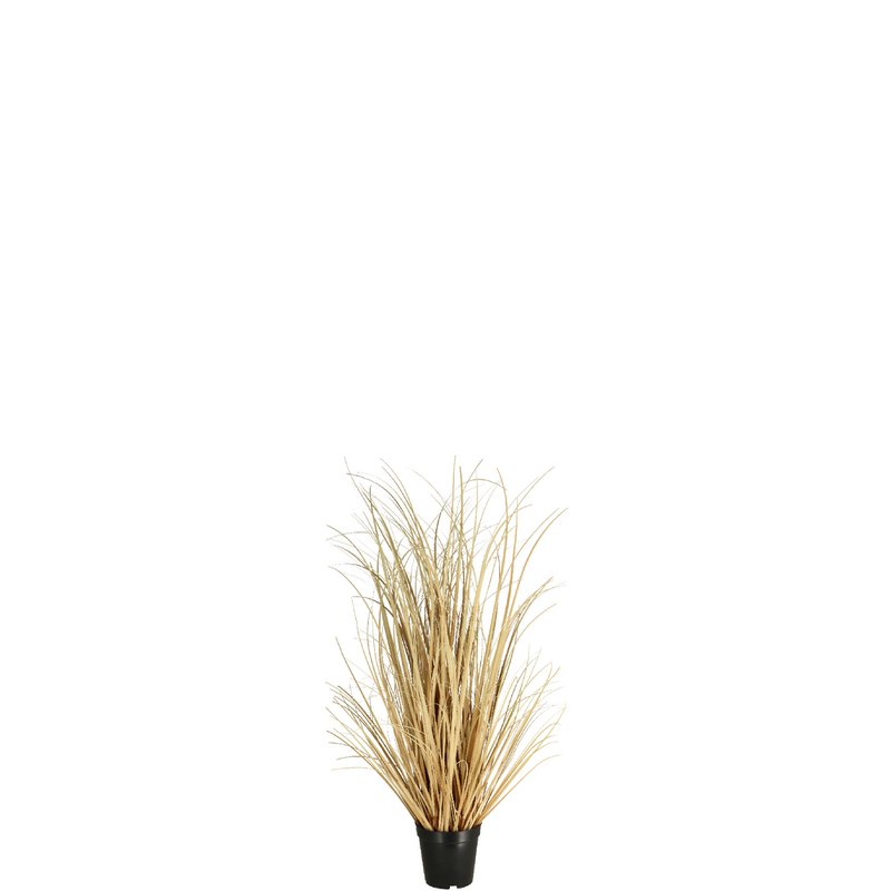 Gras Boho getopft, wys. 73 cm, wygląd suchy