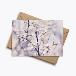 Postkarte med en sang i mit hjerte (PK_024)