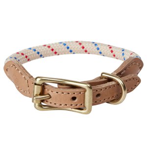 Perry Dog Collar - Medium