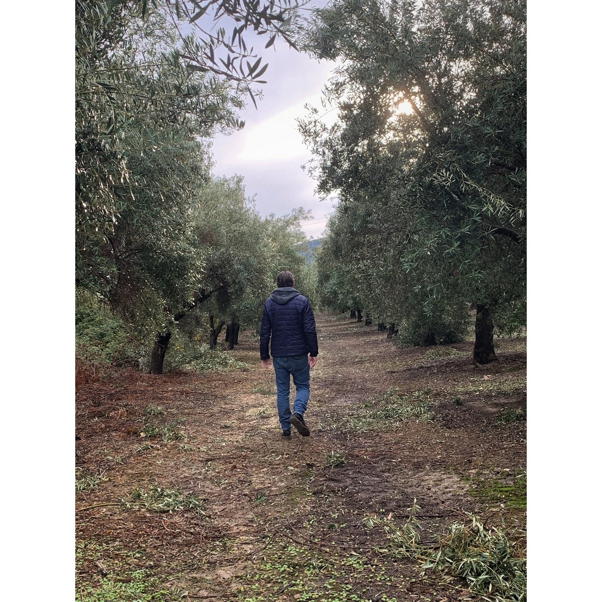 COUPAGE MASTER DI OLIO EXTRA VERGINE DI OLIVA