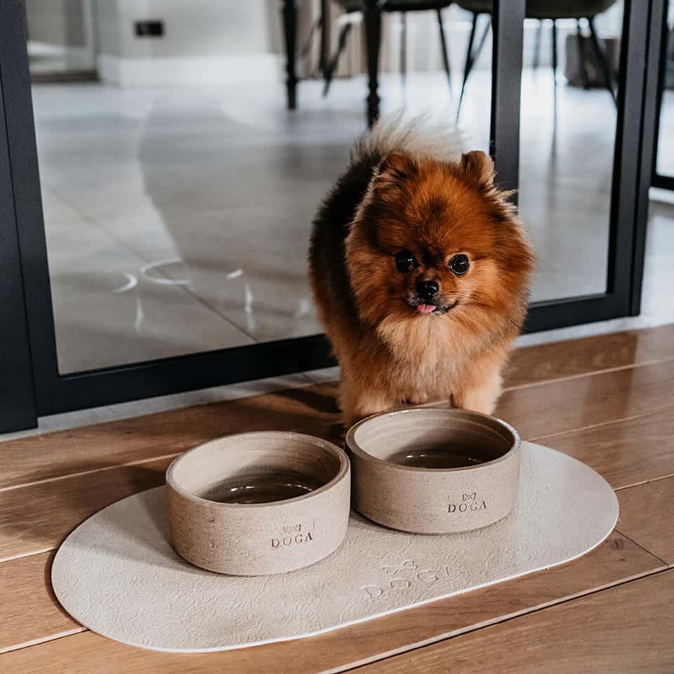 Comedero para perros Hormigón DOGA