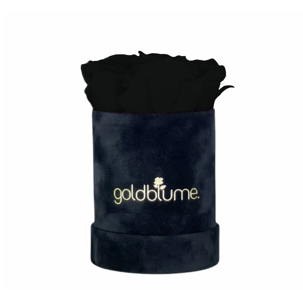 Velvet Black-collectie