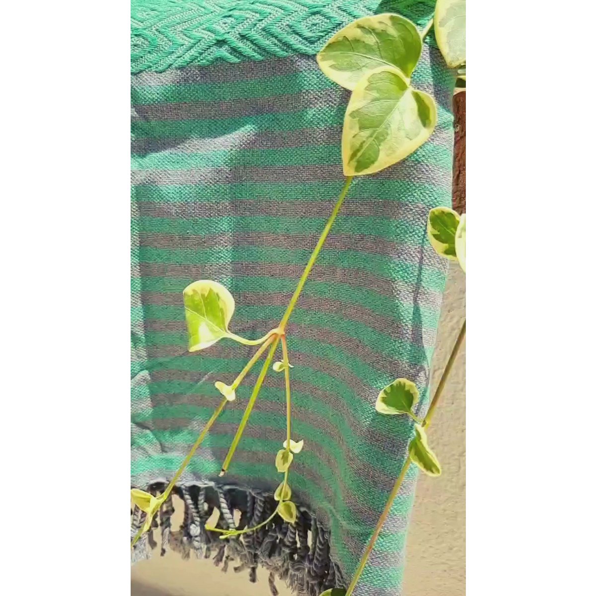 Serviette de Hammam Spa en Coton SAHARA - Compacte - Vert - 180x100 cm