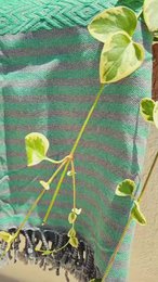 SAHARA Cotton Hammam Spa Towel – Compact – Green - 180x100 cm