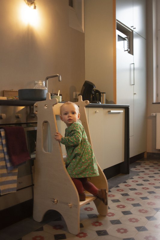 Montessori Giraffe Observationstårn