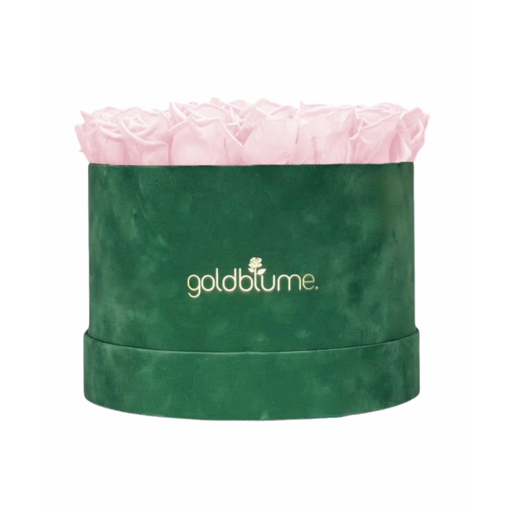 Velvet Green Collection