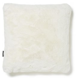 Skinnwille Home