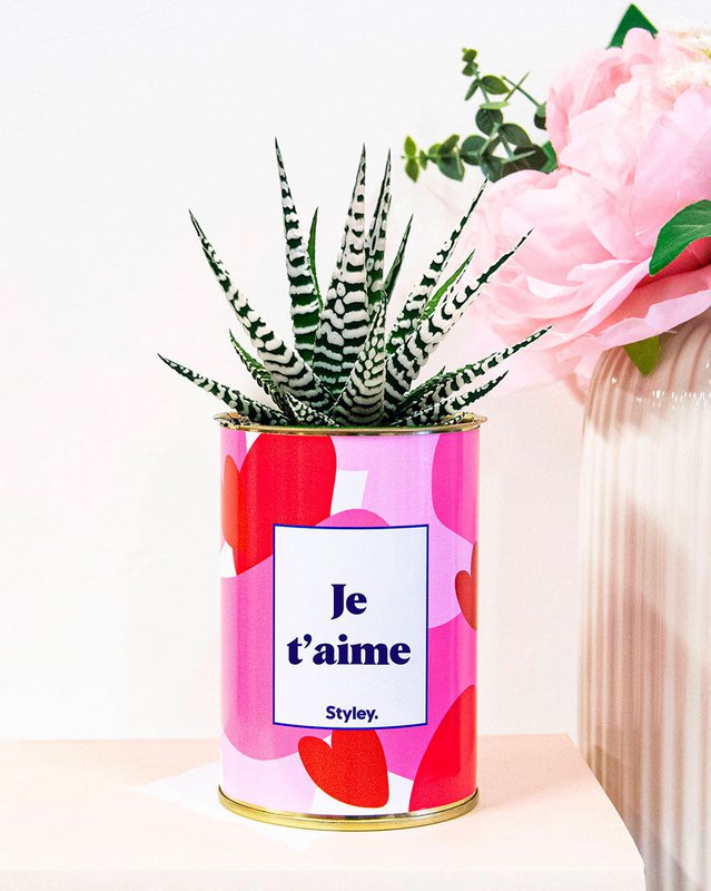 Synes godt om - Valentinsdag - Kaktus