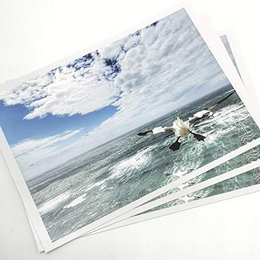 Three postcards or pictures featuring gannets, a coastal bird, with the text "Be strong, courageous and full of confidence!" The images depict a coastal scene with a cloudy sky and waves.