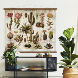 Tableau mural cactus et plantes succulentes