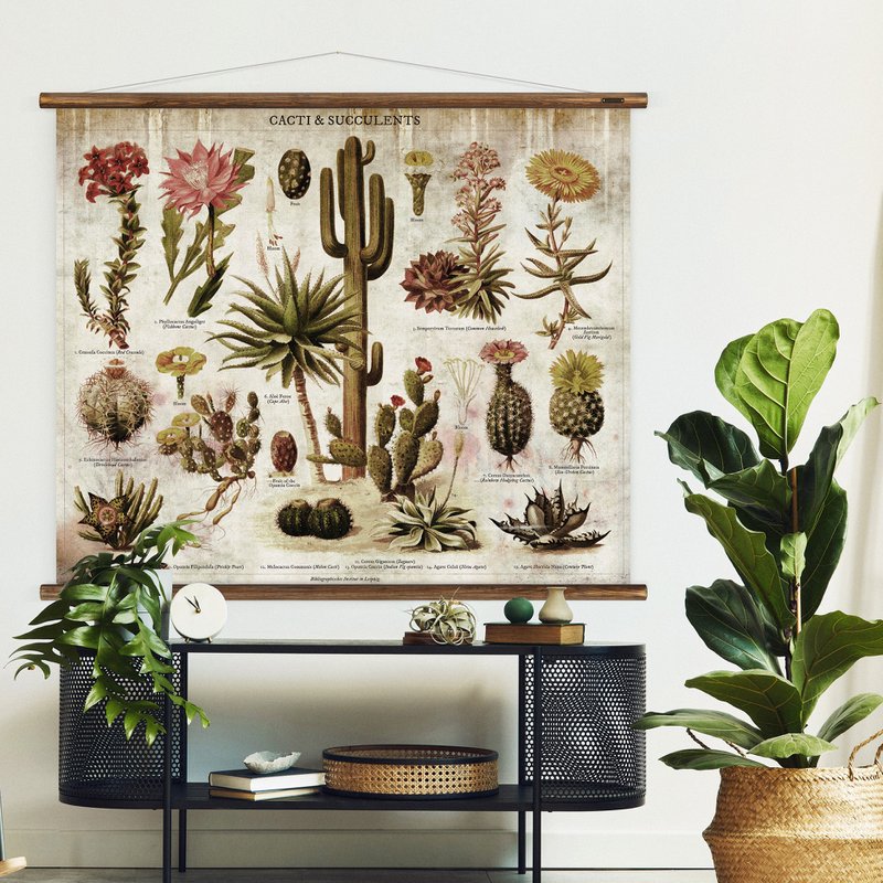 Tableau mural cactus et plantes succulentes