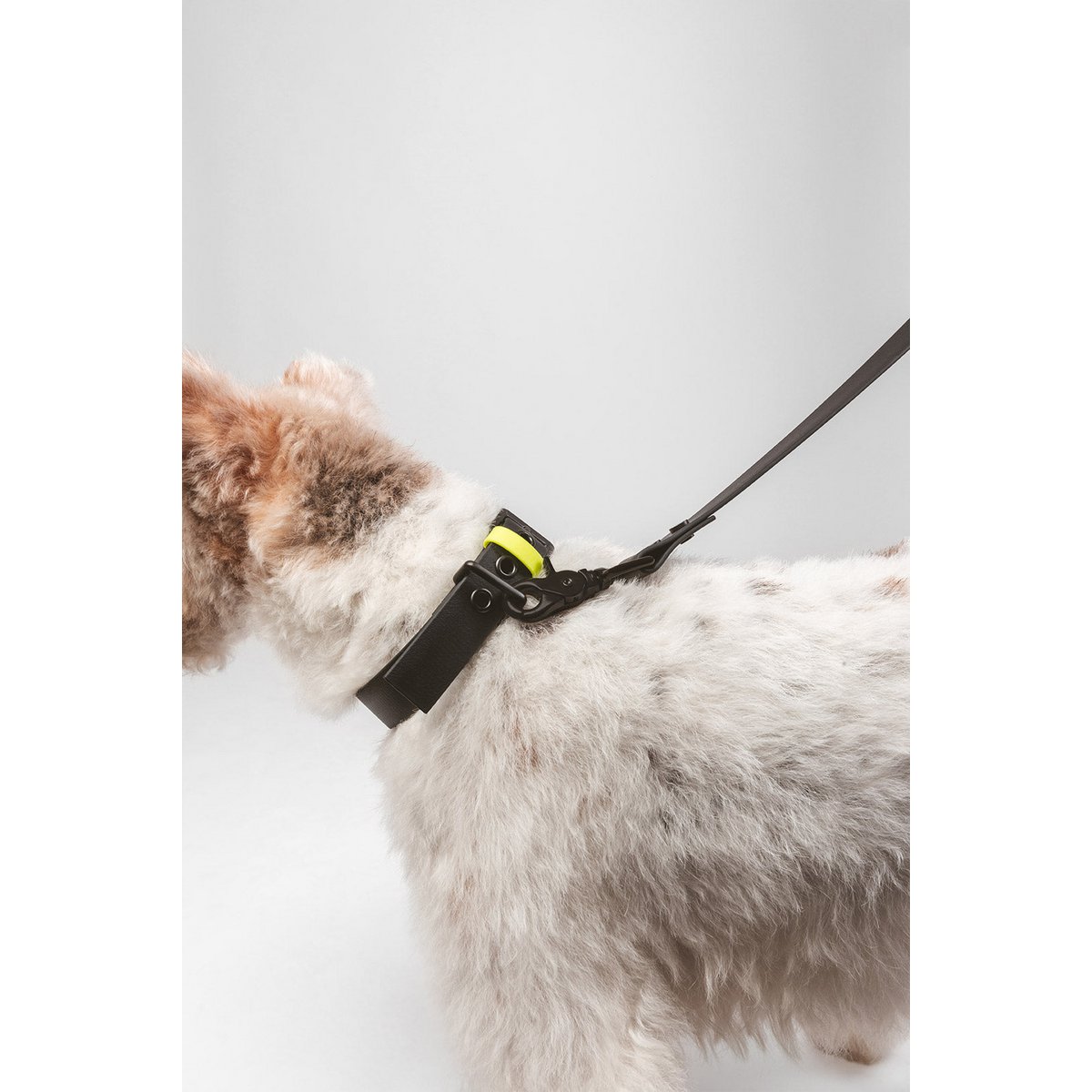 Flotta L01