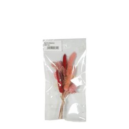 Kleines Bündel – Trockenblumen – Palisander – 22 cm