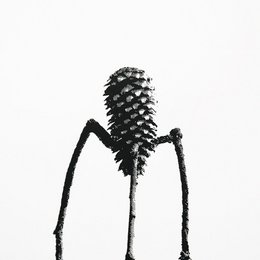 Jussi – S -screen print