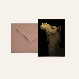 Postcard featuring a camel and firefly illustration on a dark background.