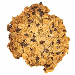 Vegan Tigers - Biscotti di farina d'avena BIO con brandelli di cocco 120g