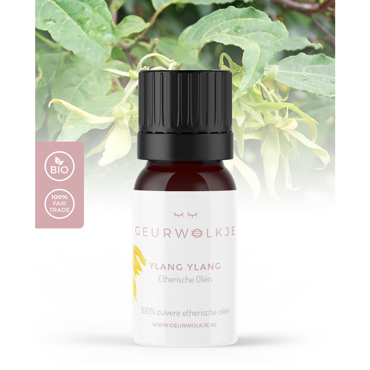 Ylang Ylang - 100% Essential Oil - 5 and 10 ml - Recommended retail price €9.95 – €15.95
