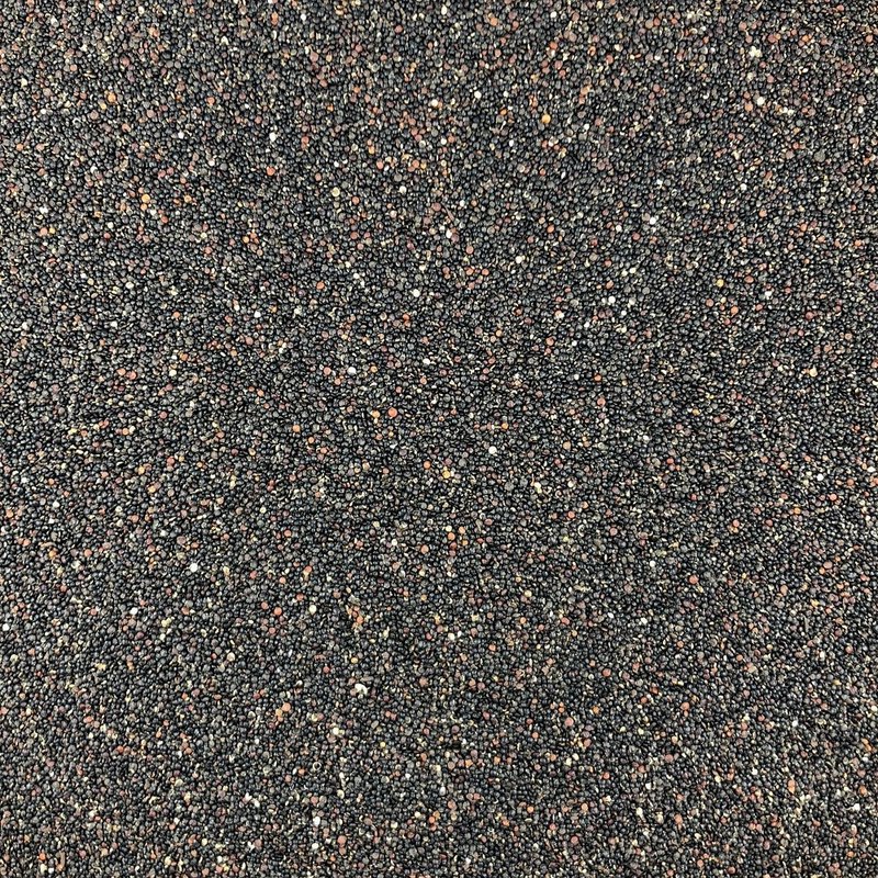 Organic Black Quinoa in Bulk