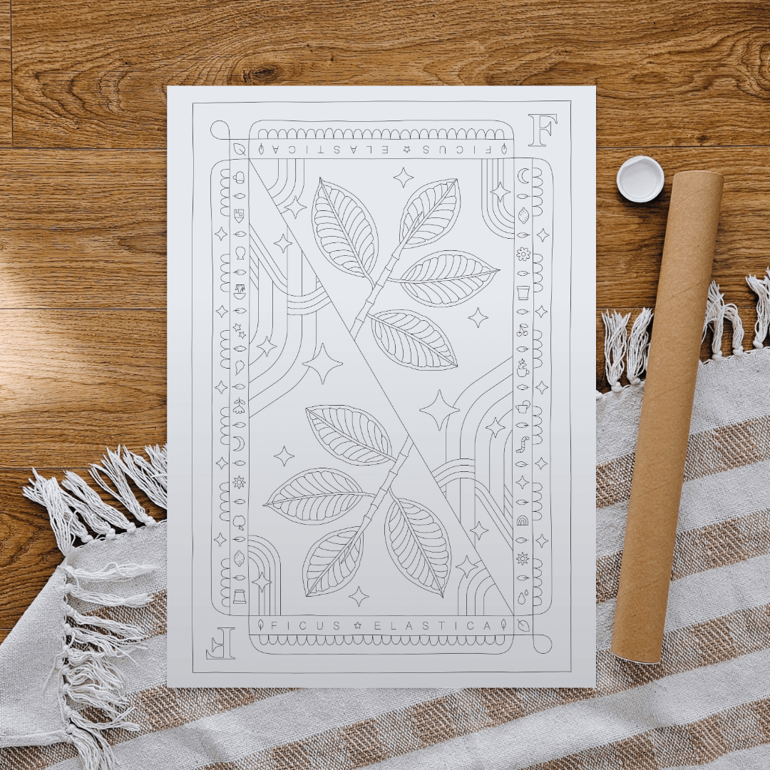 Ficus Elastica Coloring Poster 50x70 cm