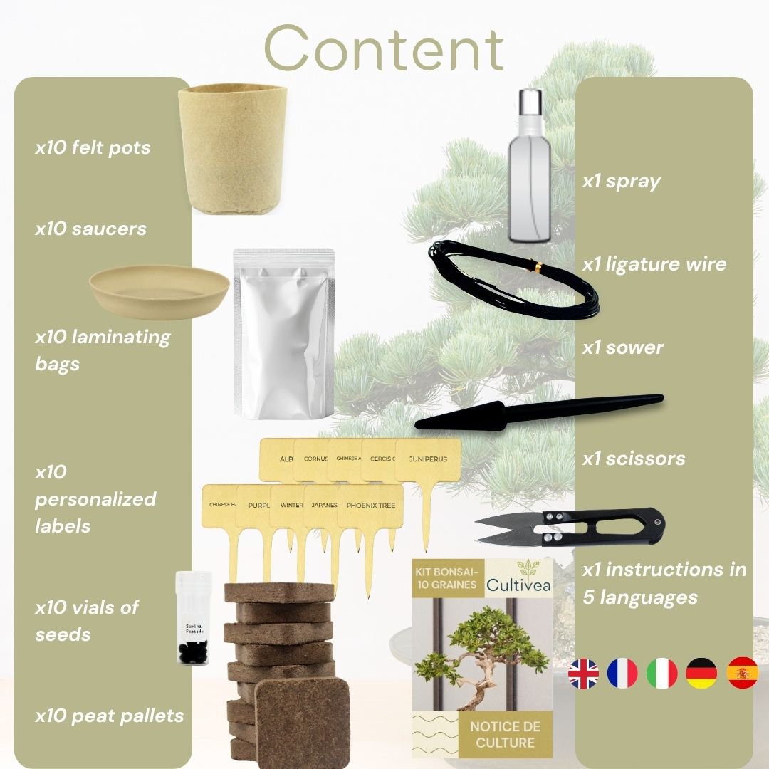 CULTIVEA® Kit of 10 Bonsai to Plant – Complete Box with Seeds, Pots, Tools & Instructions – Easy Indoor Planting Kit – Gardening Gift Idea | Made In France