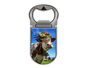 Metal magnet capsule lifter cow alpine rack, 4x9cm