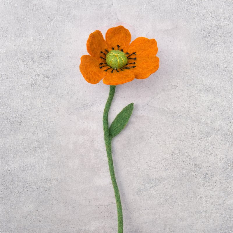 Fiore di papavero arancione