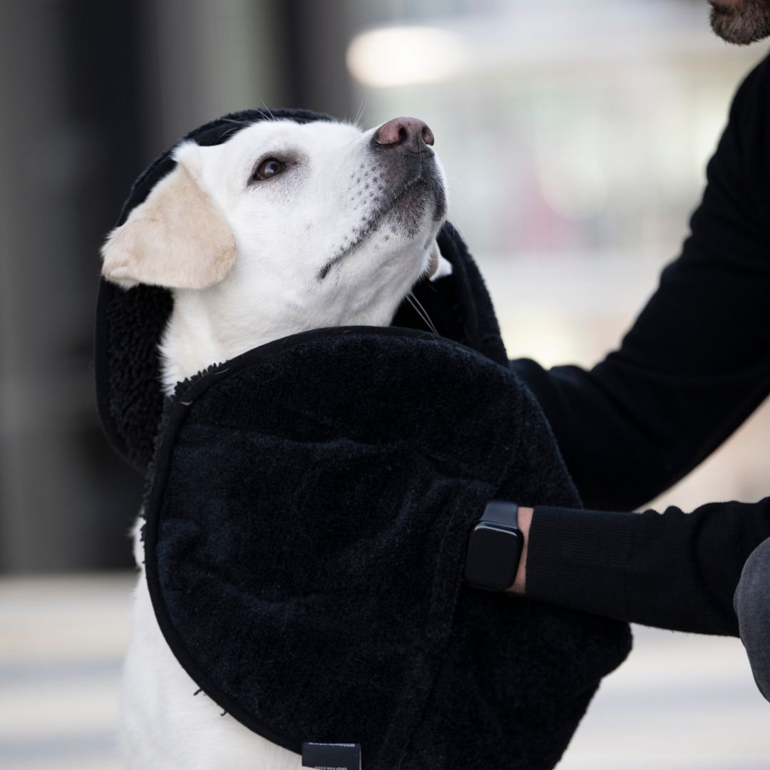 Hundehandtuch Ultra Dry Comfort Anthrazit