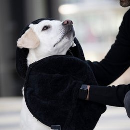 Hundehandtuch ultra tør komfort antrazit
