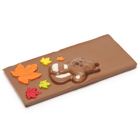 Herfstchocoladereep (melk) 125 Grs