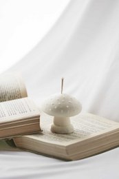 Ordinate-Woodland Mushroom Candle Mushroom candle made of soy wax and beeswax | Handmade decorative candle | Cottagecore home decor | Gift for book lovers | Christmas candle