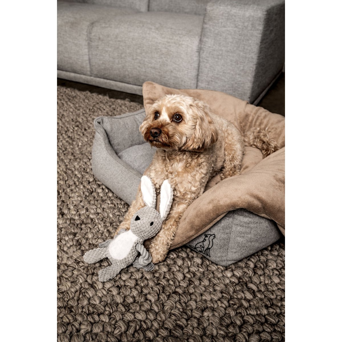 Jouet lapin Théo pour chien