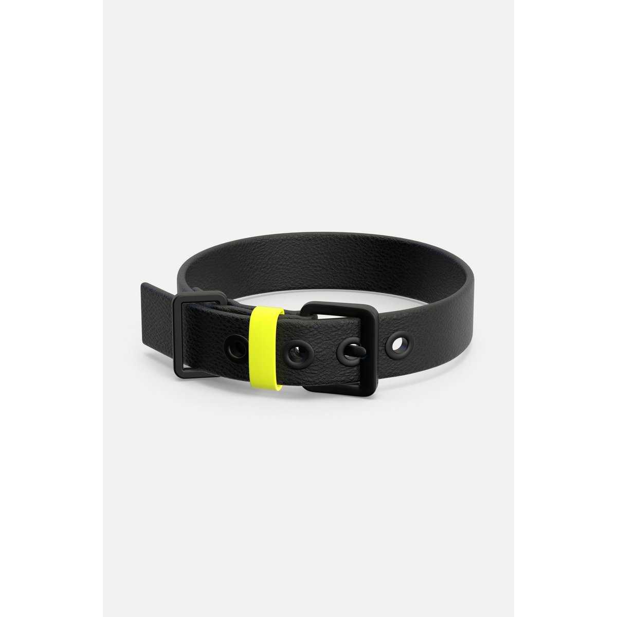 Dog collar C01