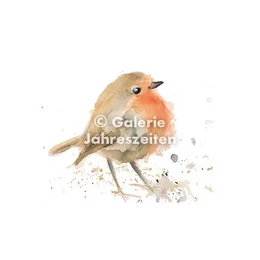Robin | Robin | Fine Art Greeting Card | Blank