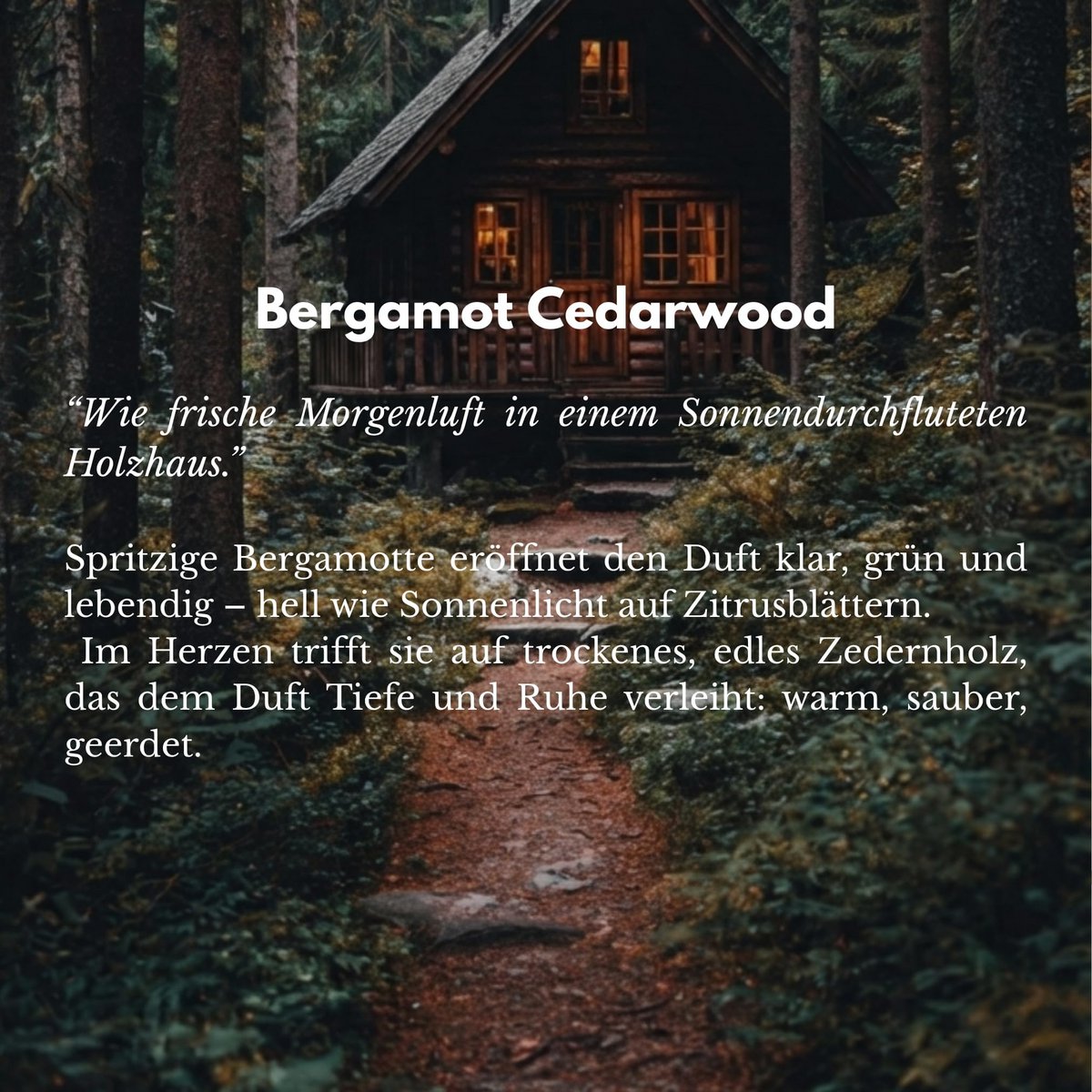 Bergamot & Cedarwood Room Spray 500ml – Hotel Scents
