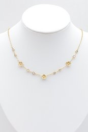 Roestvrij stalen ketting