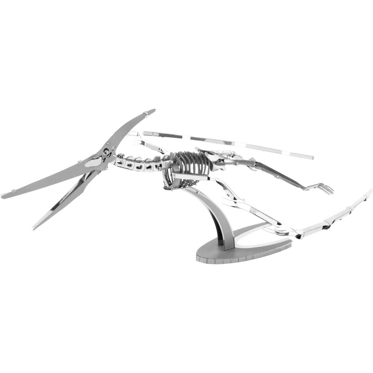 Pteranodon Skelet
