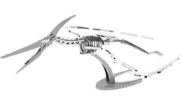 Pteranodon Skelet