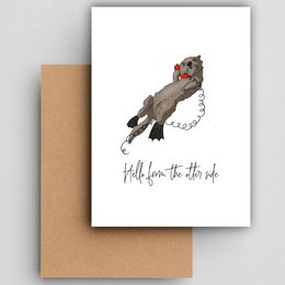 Bonjour du côté de la loutre