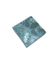 onderzetters abalone. SHE 5AL