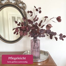 Eucalyptus red
