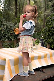 Skirt Rijk