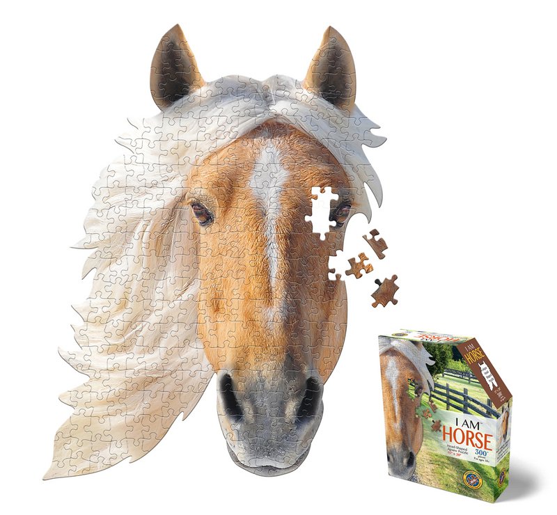 I Am Mini - Paard