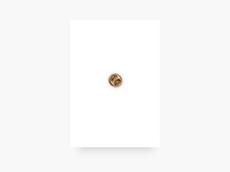 Pin / Electrifying