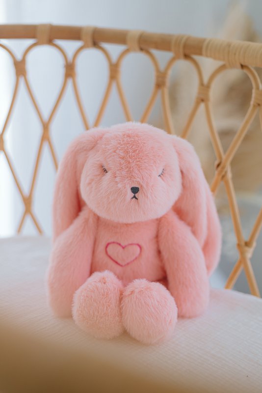 Lulla Bunny sleeping toy