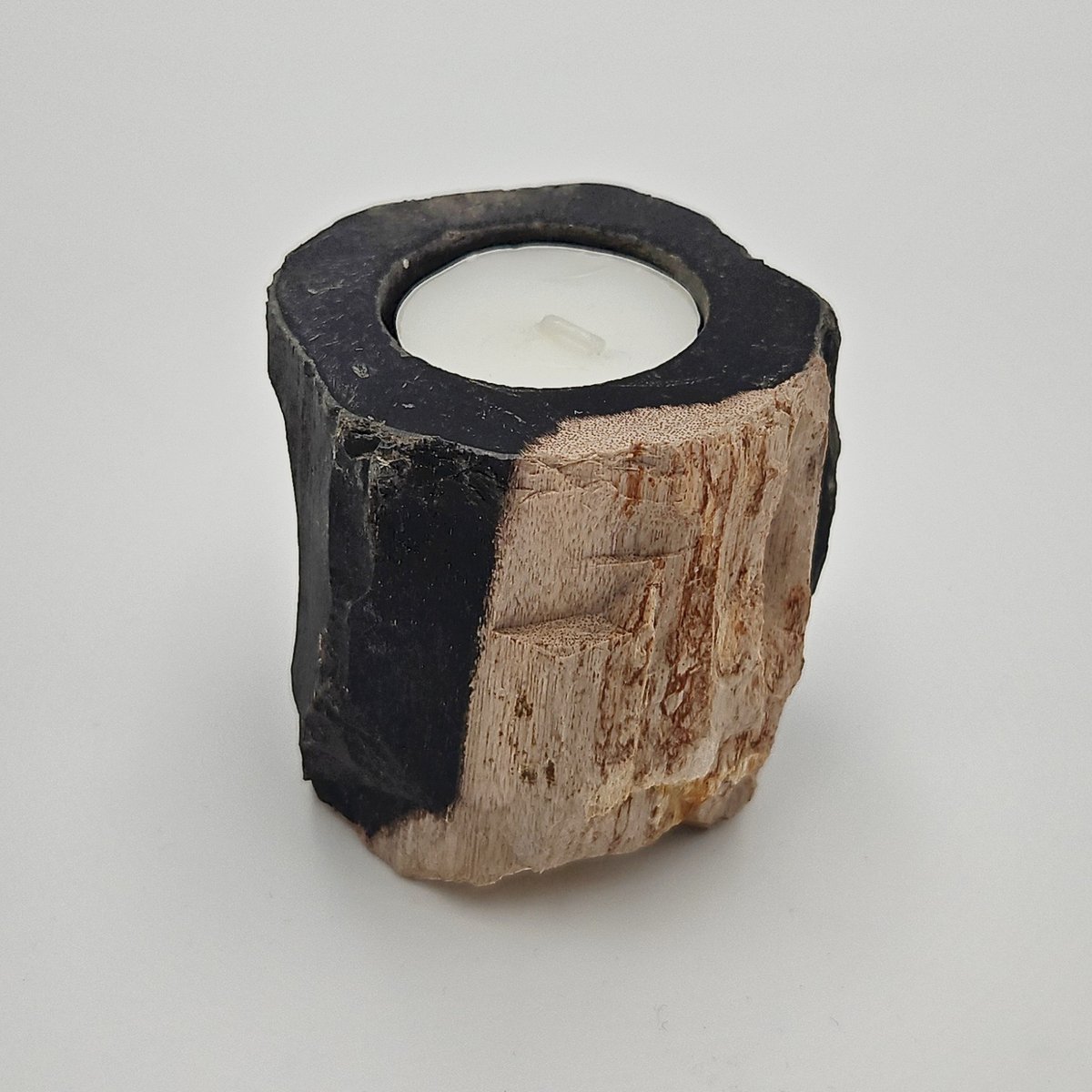 Photophore en bois pétrifié – Objet naturel unique