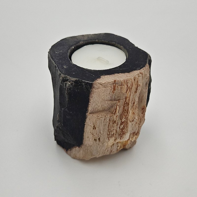 Teelichthalter aus versteinertem Holz – einzigartiges Naturobjekt