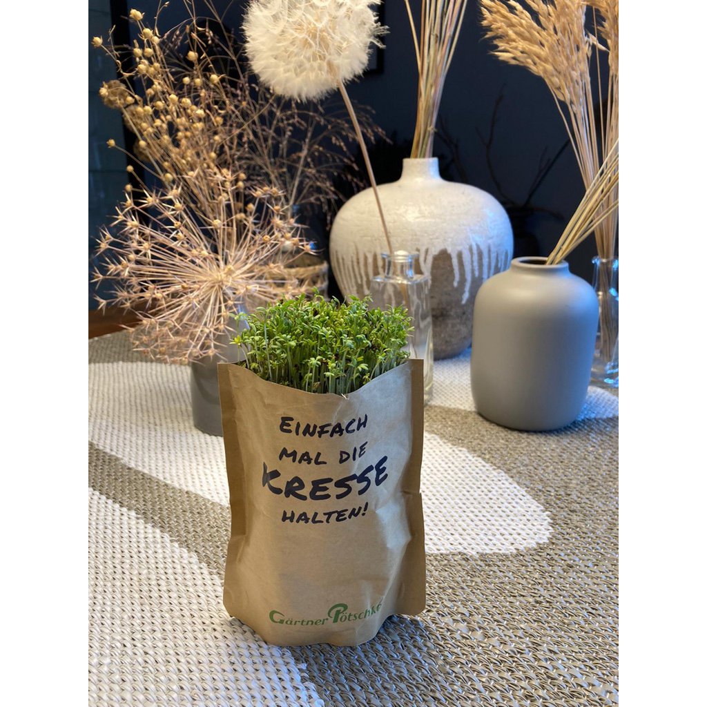King of the grill (garden cress)