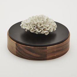 CAJA CHAN-XL 20cm